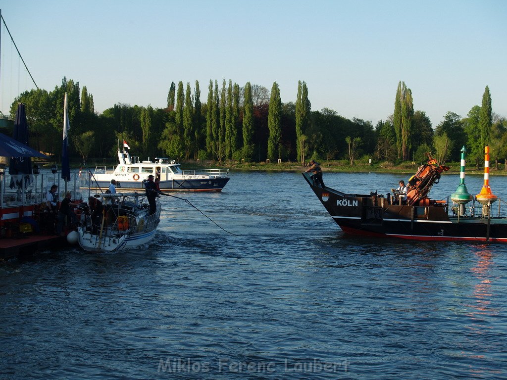 Motor Segelboot mit Motorschaden trieb gegen Alte Liebe bei Koeln Rodenkirchen P141.JPG